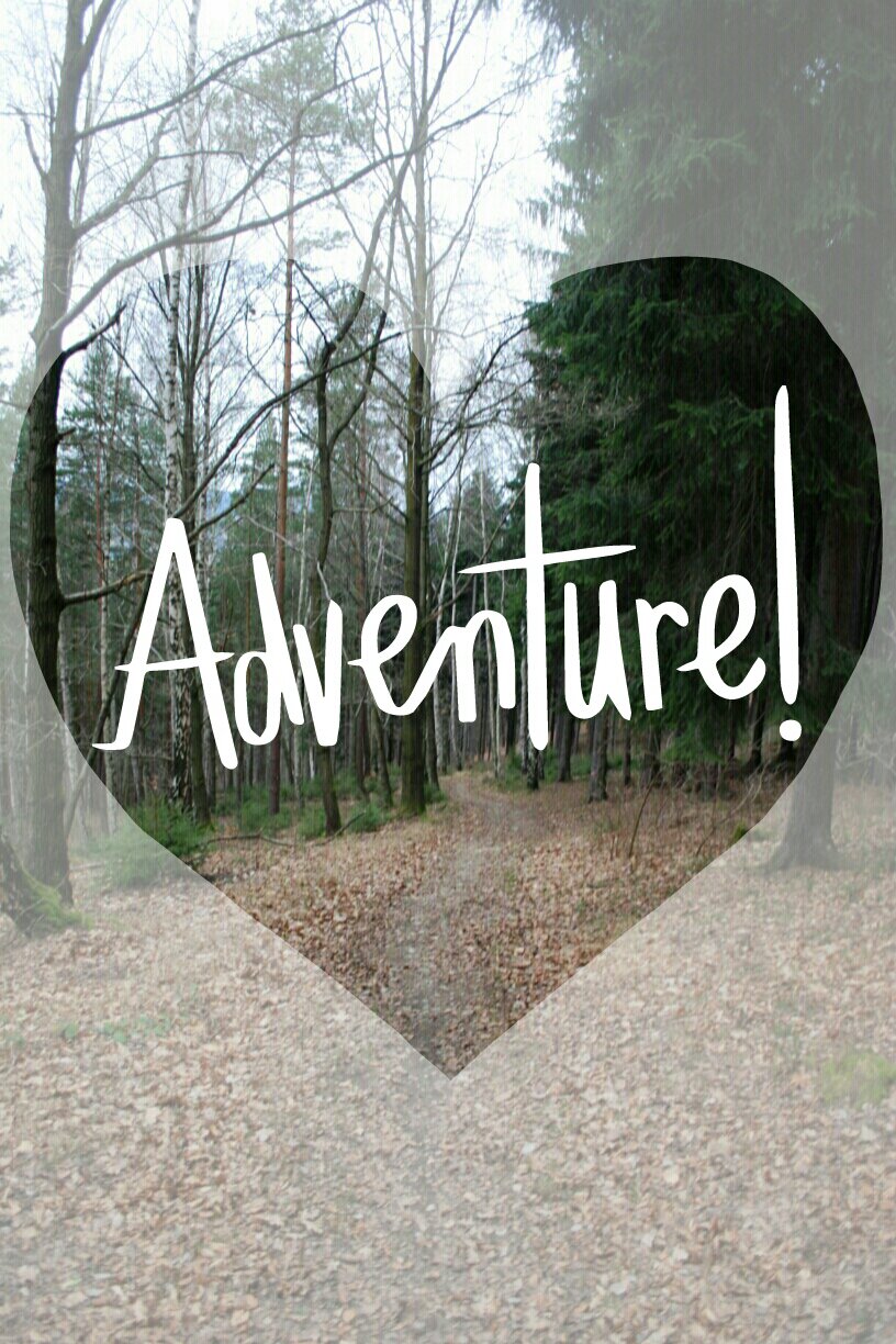 Adventure in the forest…